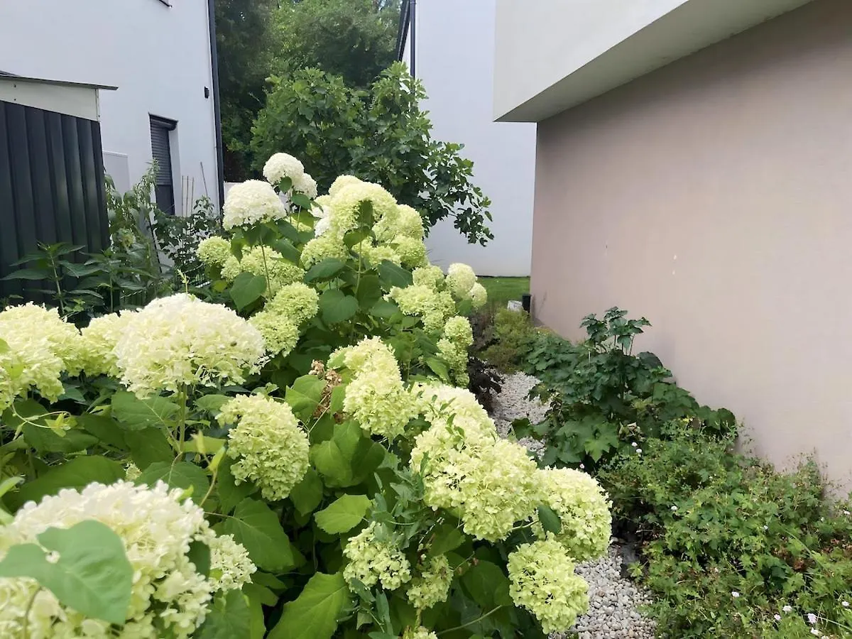 Wohnung Mit Privatgarten & Salzwasserpool Vienna Austria